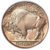 1916 5C Doubled Die Obverse Buffalo nickel MS64 PCGS