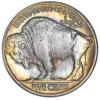 1916 5C Doubled Die Obverse Buffalo nickel MS64 PCGS