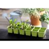 Keter Urban Bloomer, Resin Elevated Planter Raised Garden Bed