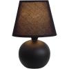 Simple Designs Mini Ceramic Globe Table Lamp