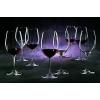 Riedel Wine Series Syrah Glass, Set of 2 - 6448/30