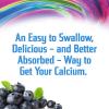 reViva Liquid Calcium, Blueberry Flavor, 64 Ounces Twin Pack