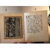 rare GARDENING DON'TS Marrion Chappell 1913 Bickers 17 Photos Hampshire