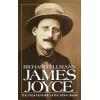 James Joyce, New and Revised Edition
