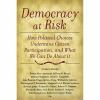 Democracy at Risk: How Political Choices Undermine Citizen Participation