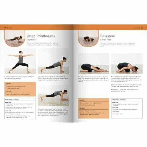 The Complete Yoga Tutor Mark Kan