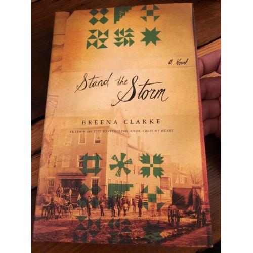 AUTOGRAPHED Stand the Storm 1st Edition Hardcover Breena Clarke