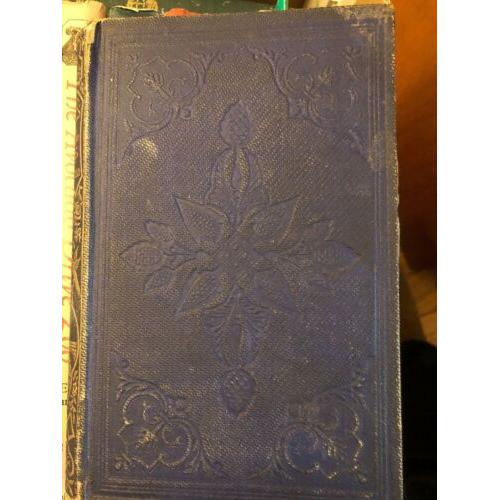 1859 Nannie's Jewel-Case, or True Stones and False. 6 chromolithographic color