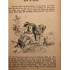 MARCHENBUCH fur kinder Bechsteins, Ludwig late 1800s / early 1900s illustrated