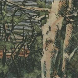 Asleep Many Years In The Wood by Anomoanon (2002-11-05)