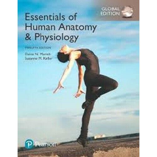 Essentials of Human Anatomy & Physiology 12e by Elaine N. Marieb Global Edition
