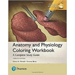 Anatomy and Physiology Coloring Workbook 12e by Elaine N. Marieb Global Edition
