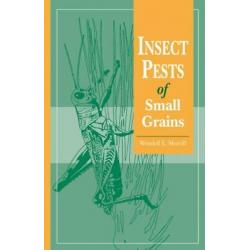 Insect Pests of Small Grains