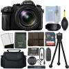 Panasonic Lumix DMC-FZ2500 20.1 MP 4K Digital Camera 20x Optical Zoom + 16GB Kit