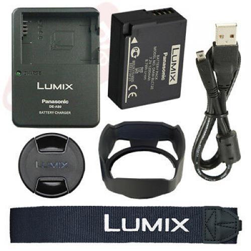 Panasonic Lumix DMC-FZ2500 20.1 MP 4K Digital Camera 20x Optical Zoom + 16GB Kit