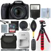 Canon PowerShot SX530 16MP Digital Camera + 32GB Deluxe Accessory Package
