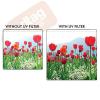 58mm 3 Piece HD Lens Filter Kit For Canon 18-55mm, 75-300mm, 70-300mm, 55-250mm