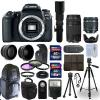 Canon EOS 77D DSLR Camera + 5 Lens Kit: 18-55mm STM + 70-300mm + 500mm and More