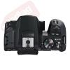 Canon EOS SL3 SLR Camera + 4 Lens Kit 18-55 STM + 70-300mm + 16GB Top Value Kit