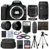 Canon EOS 250D DSLR Camera + 4 Lens Kit 18-55mm + 70-300mm + 16GB Top Value Kit