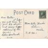 happy birthday rose flowers & buds vintage Postcard 1910s serie 5100 Germany