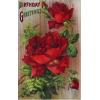 happy birthday rose flowers & buds vintage Postcard 1910s serie 5100 Germany