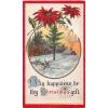 may happiness be thy christmas gift gold gilt poinsettias cabin vintage postcard