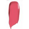  L'Oreal Paris Infallible Paints 316 Wild Rose Liquid Lipstick